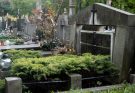 What Leads to Columbarium Problems and How to Fix It