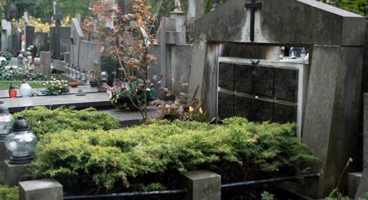 What Leads to Columbarium Problems and How to Fix It