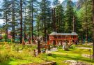 Things to do in Mashobra Forest walks apple orchards and quiet picnic spots