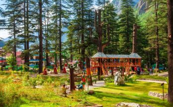 Things to do in Mashobra Forest walks apple orchards and quiet picnic spots